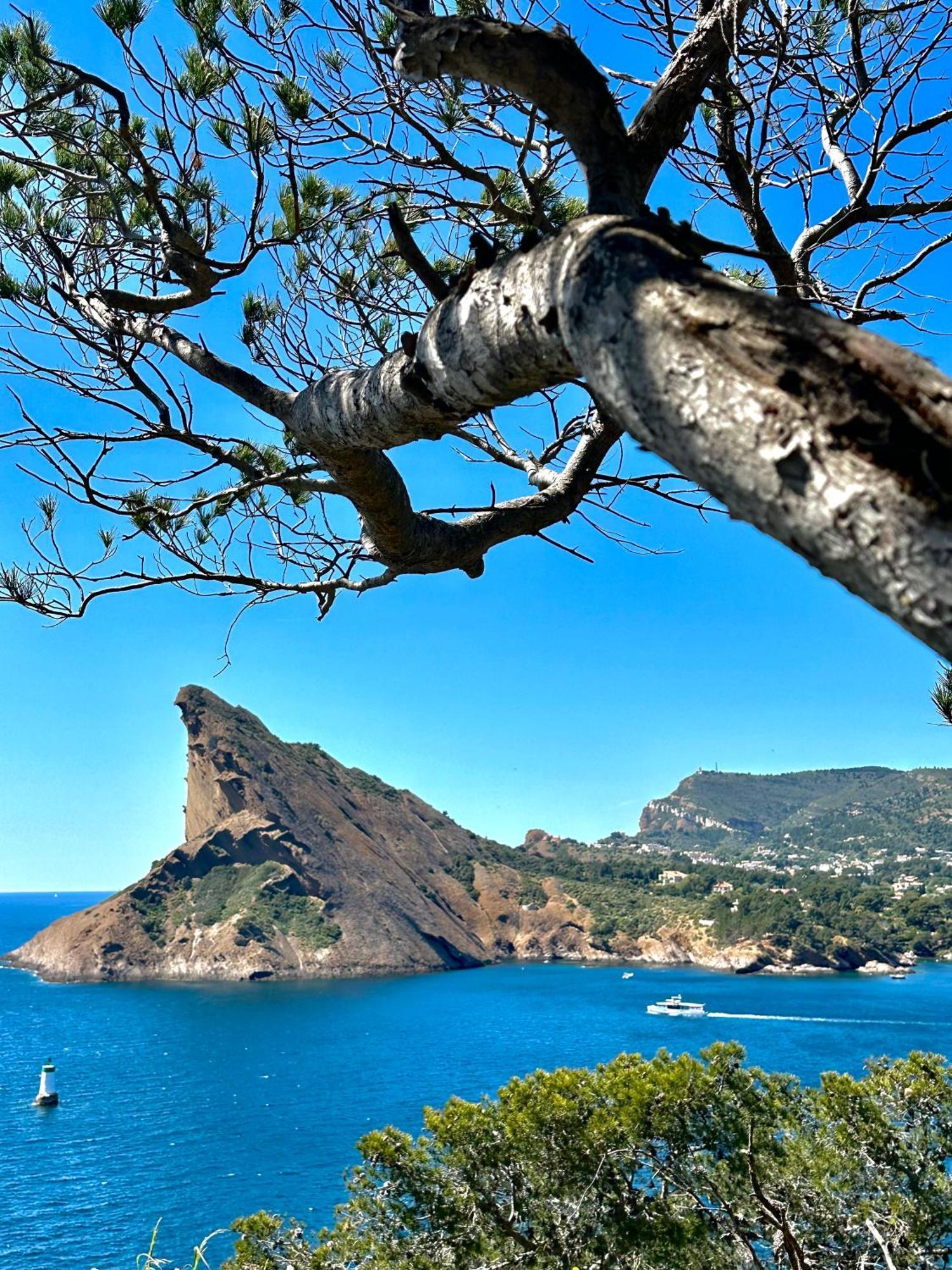 L'Alceste La Ciotat Esterno foto